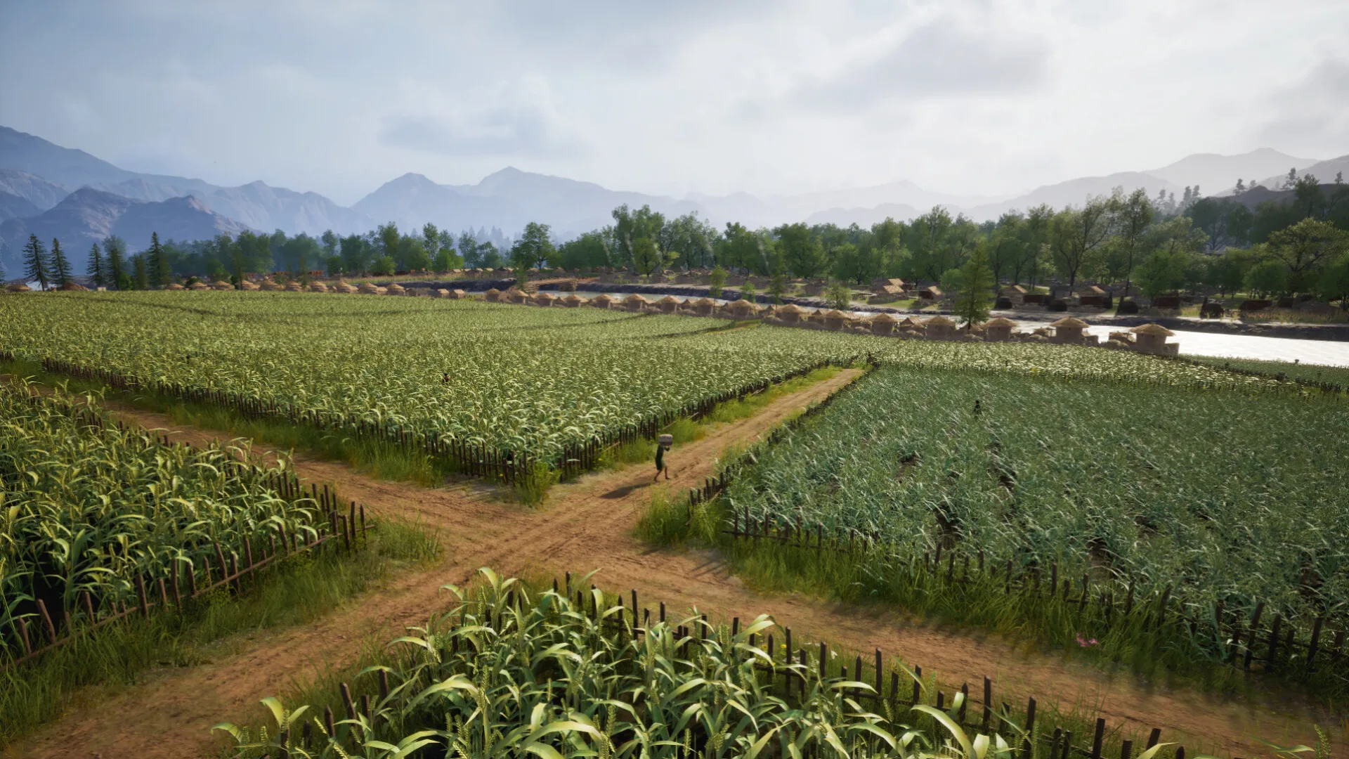 Mandate Order fields and farm buildings during a growing season
